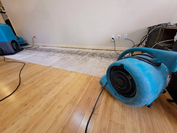 Professional Water Removal technician working in South Point, OH